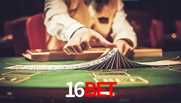 Crash Games Statistics 16bet